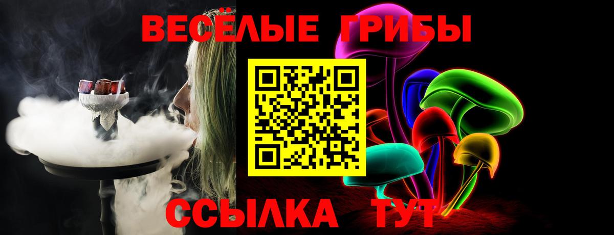 Барнаул  Псилоцибиновые грибы Psilocybine cubensis  Вход с VPN 